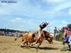 rodeo